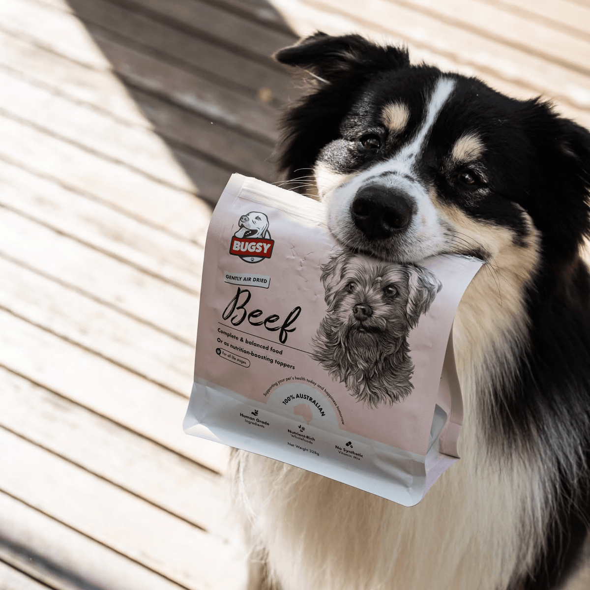 Air Dried Beef - Woof Living