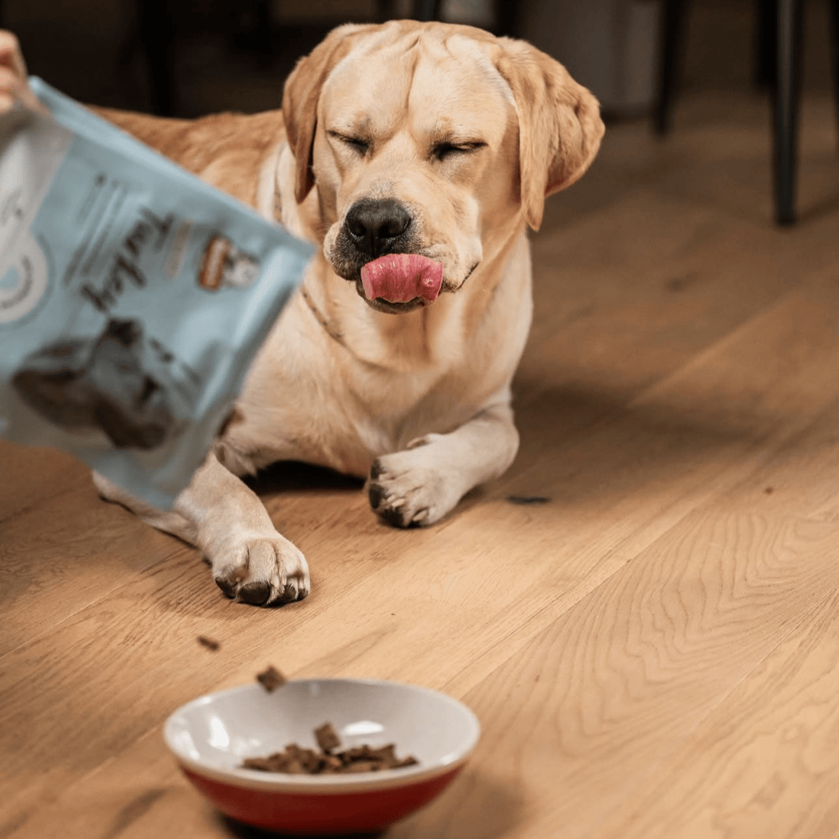 Air Dried Turkey - Woof Living