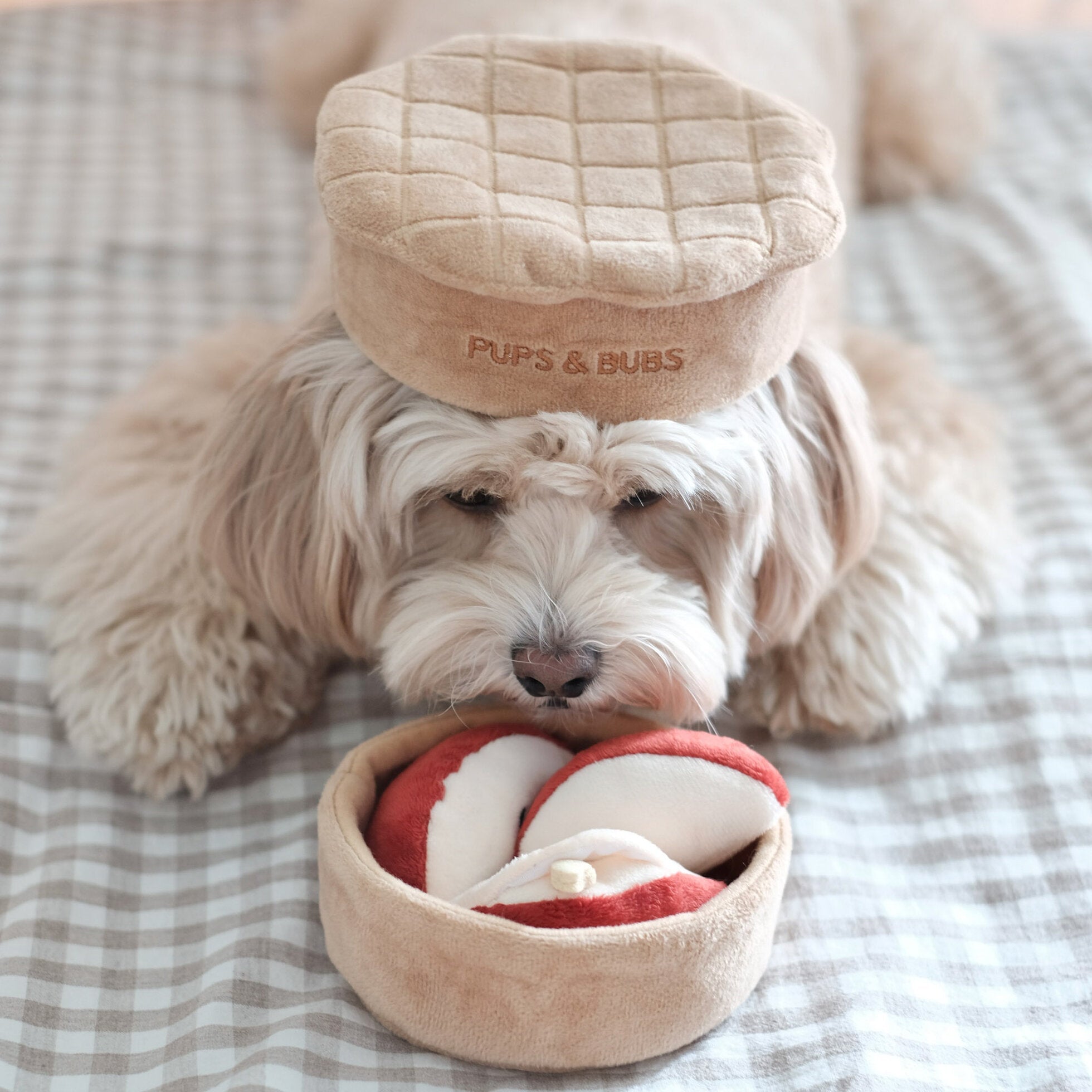 Apple Pie Nosework Toy - Woof Living