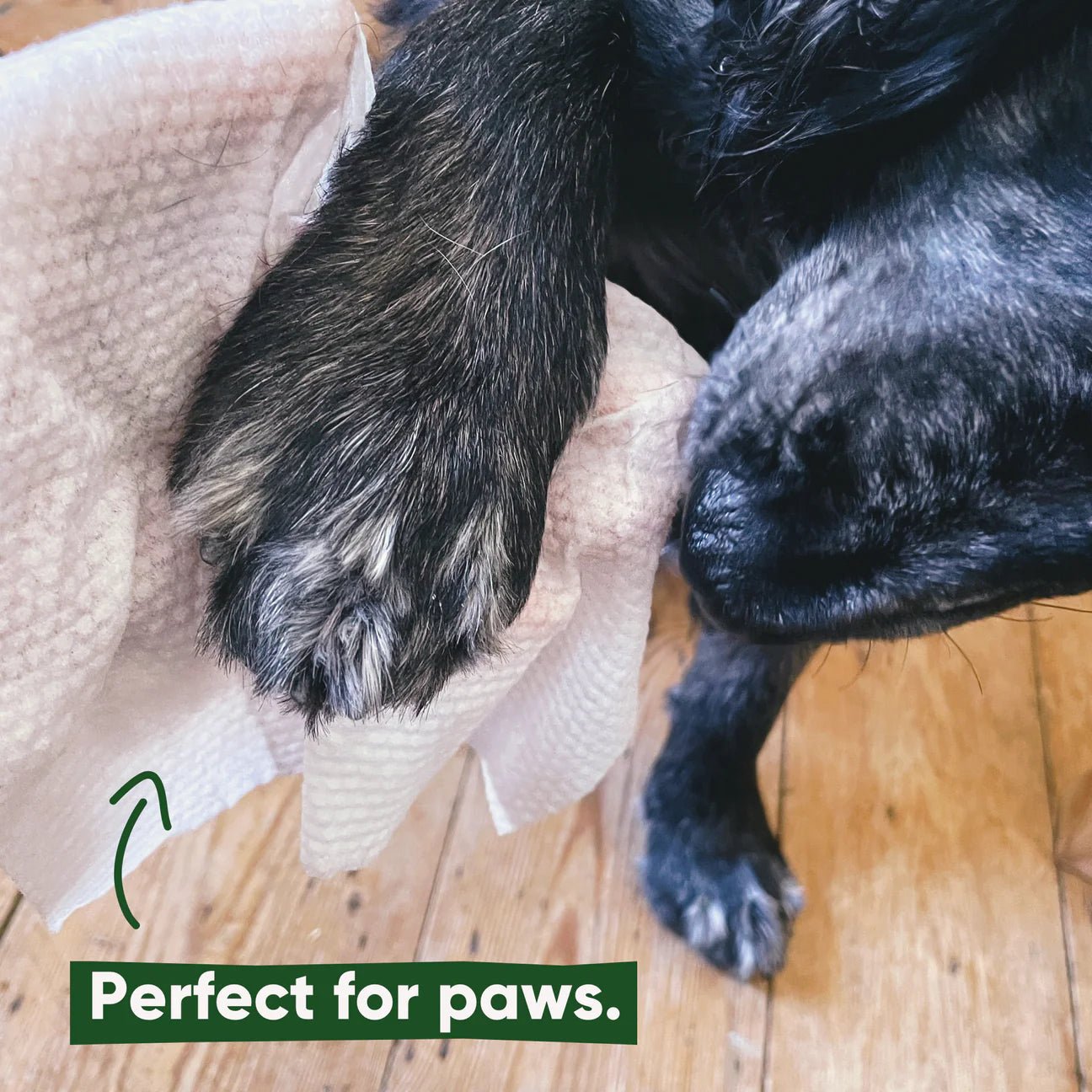 Bamboo Dog Wipes, Unscented - Woof Living