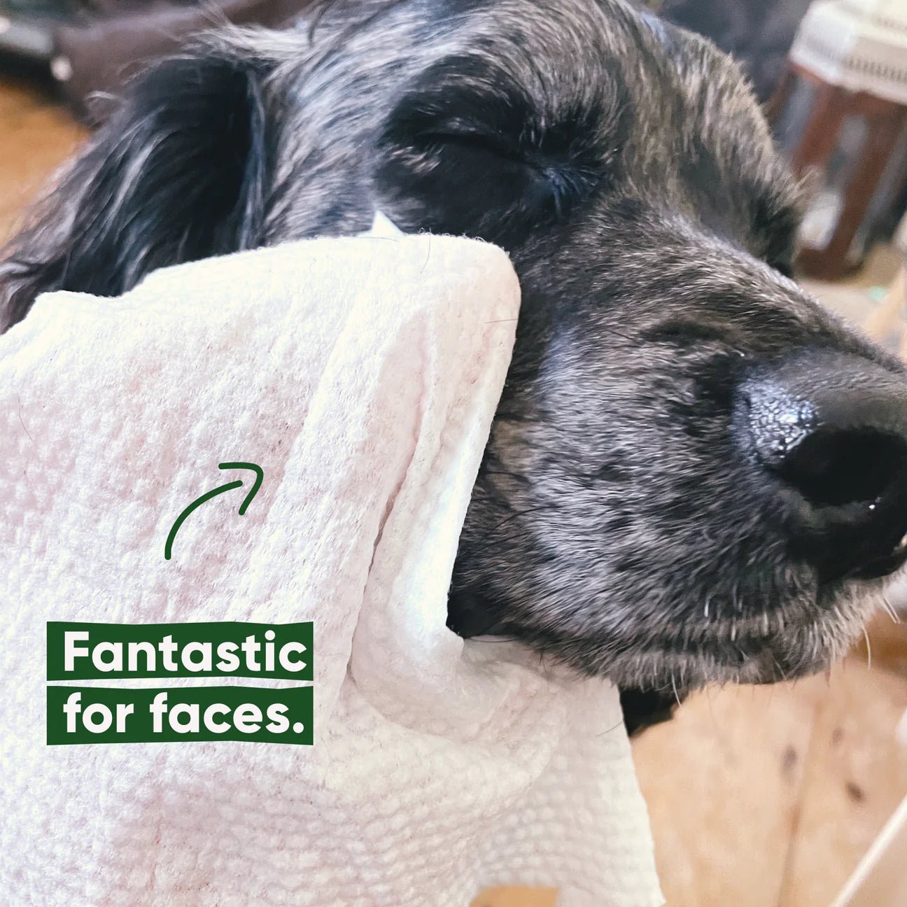 Bamboo Dog Wipes, Unscented - Woof Living