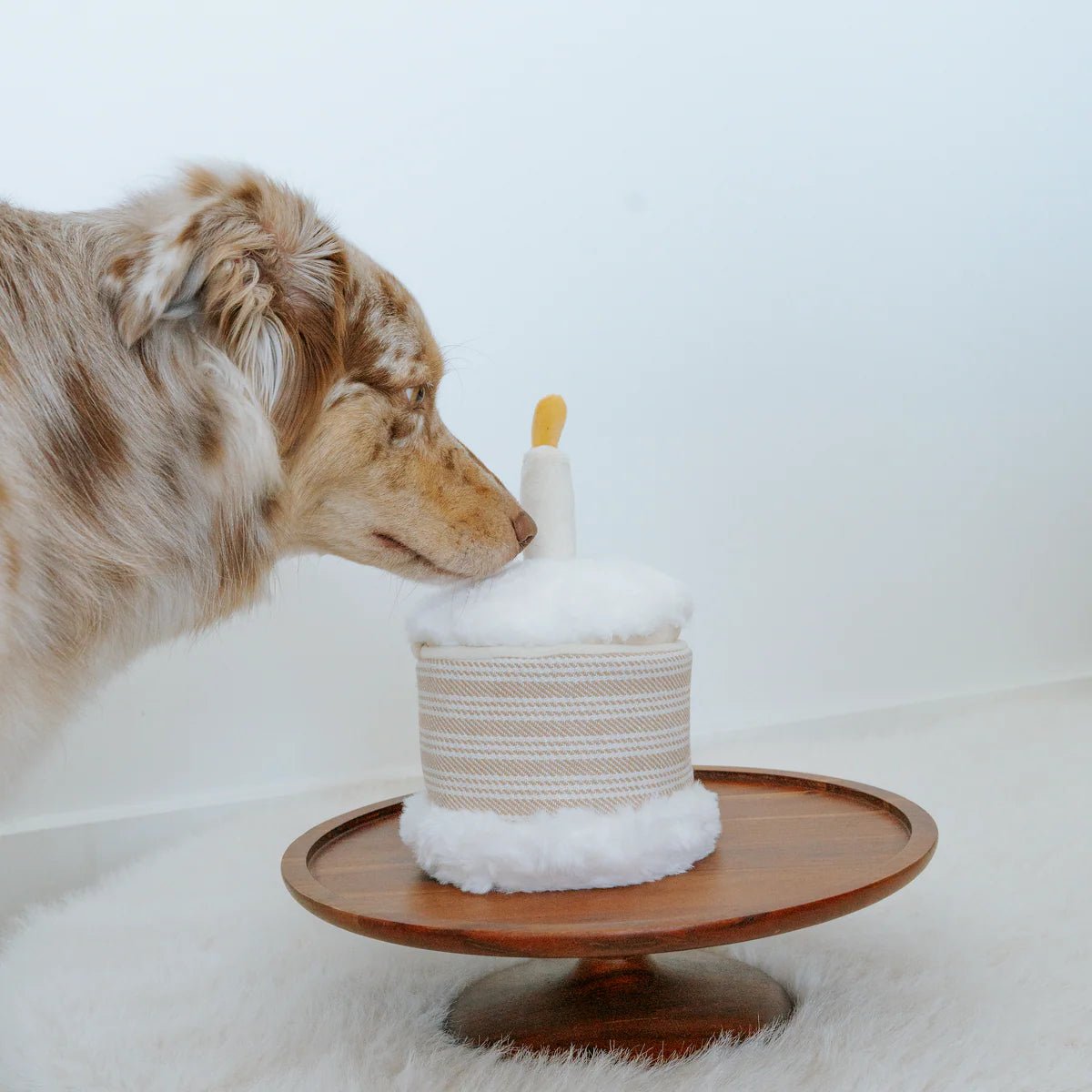 Birthday Cake - Woof Living