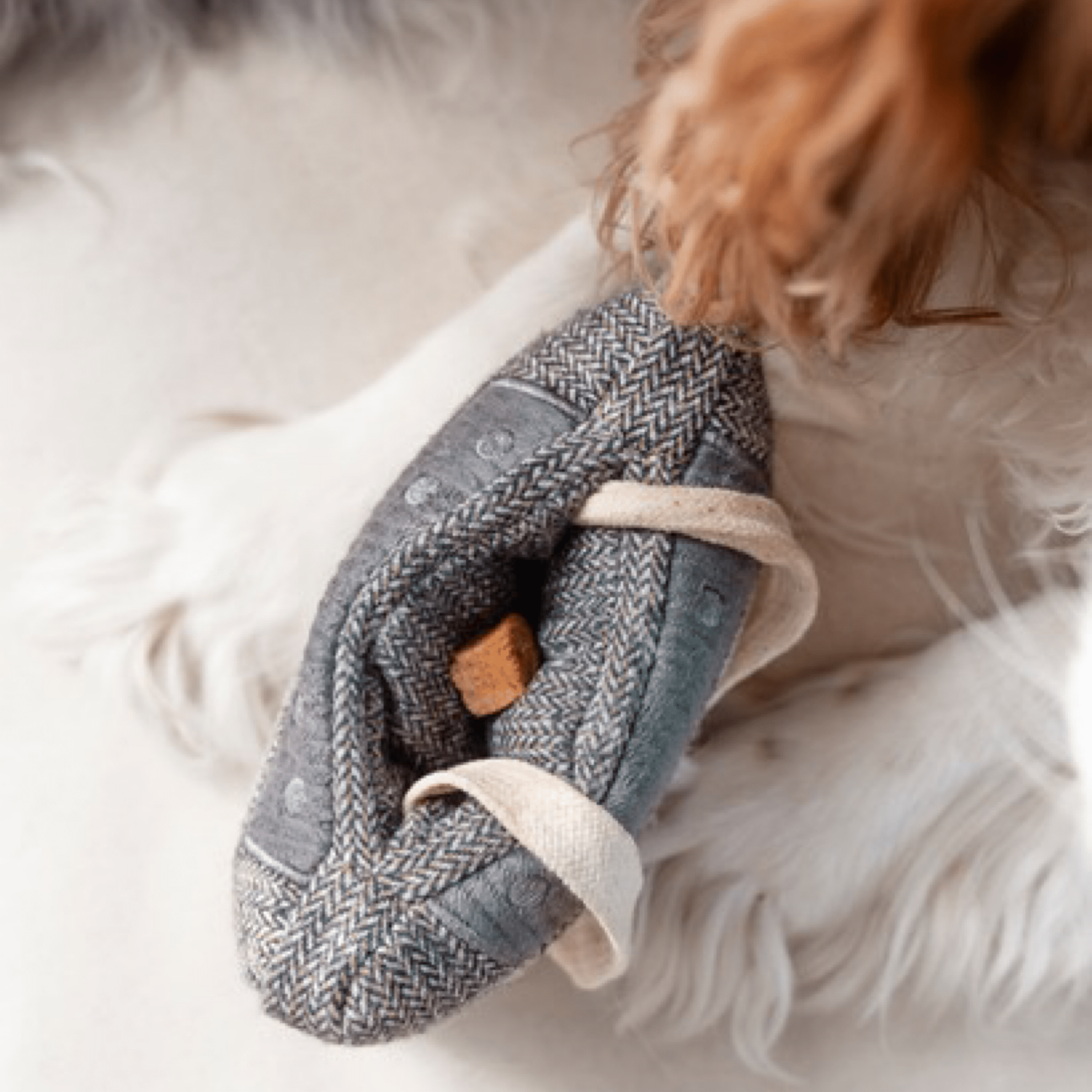 Cassette - Woof Living