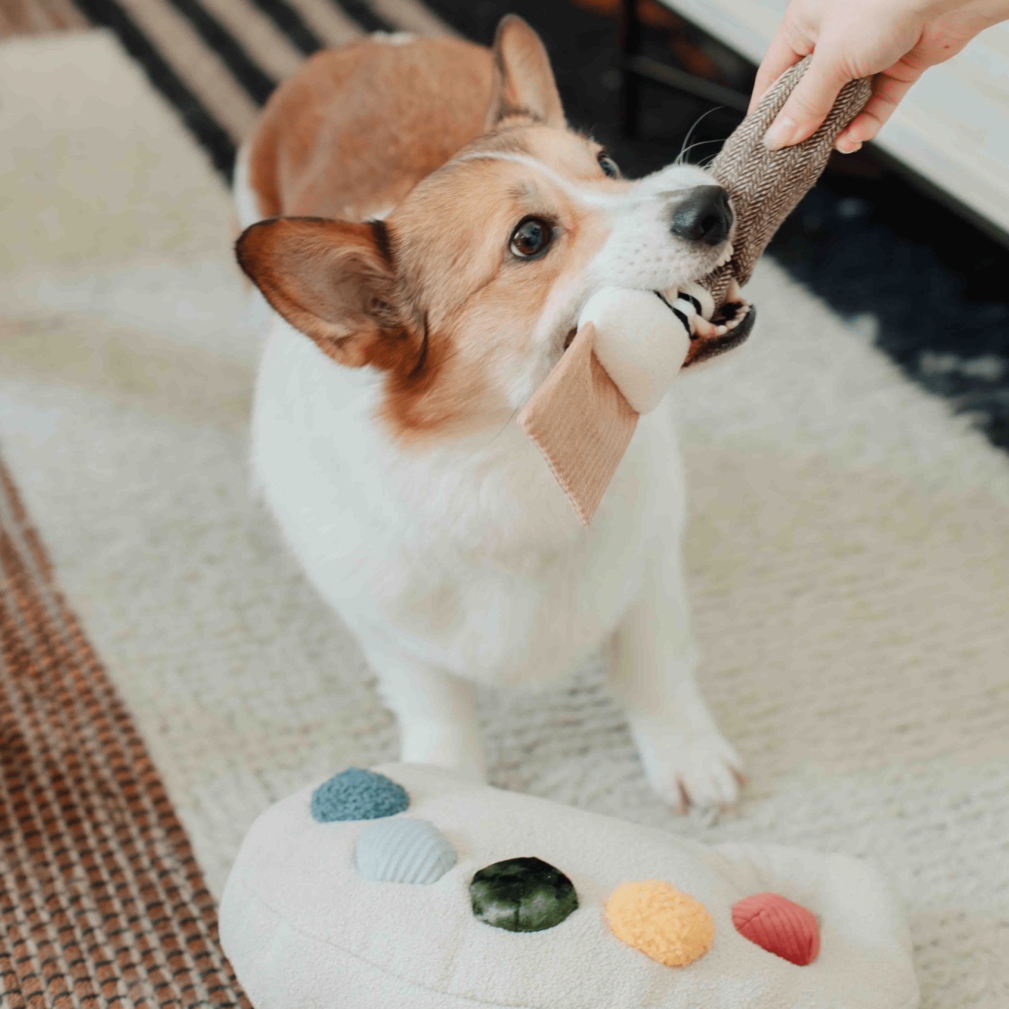 Colour Palette Set - Woof Living