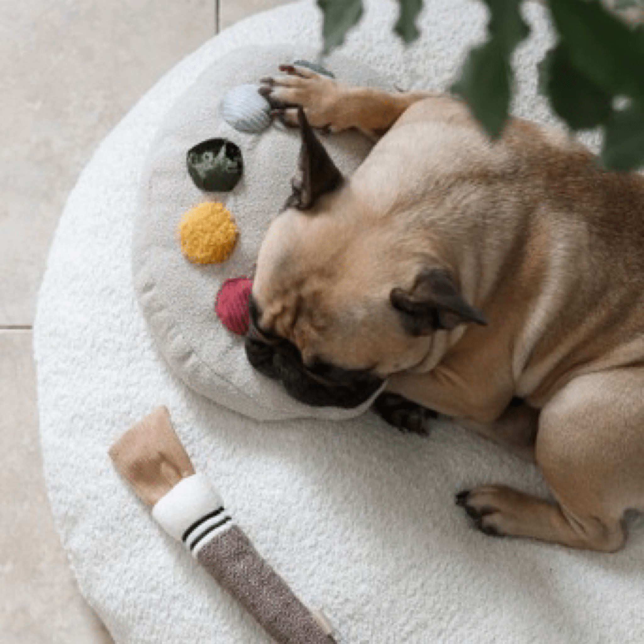 Colour Palette Set - Woof Living