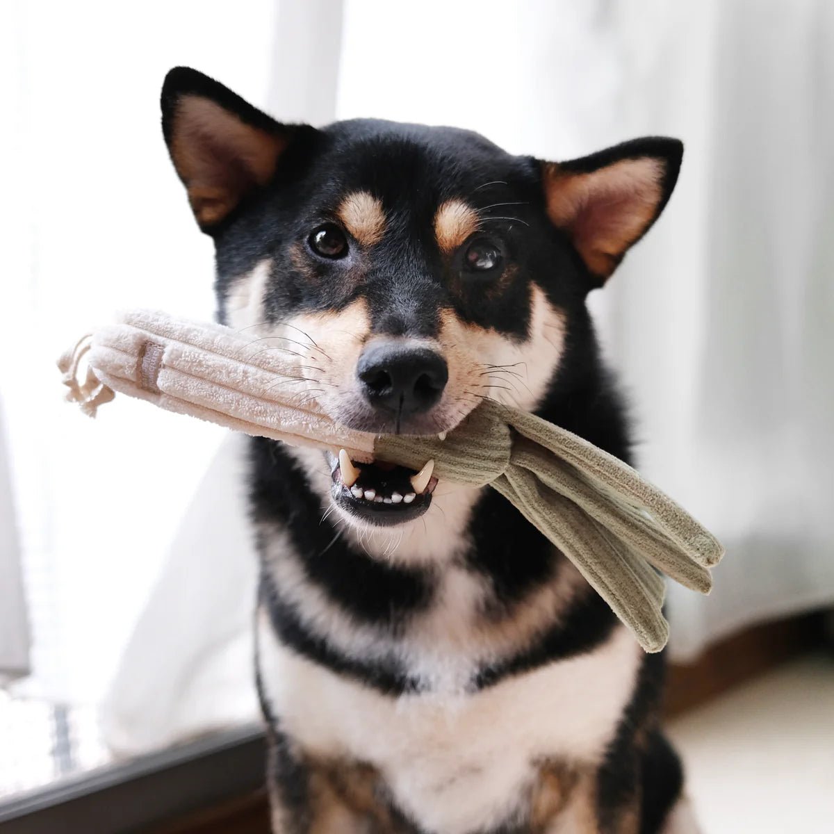 Corn + Leek Set - Woof Living