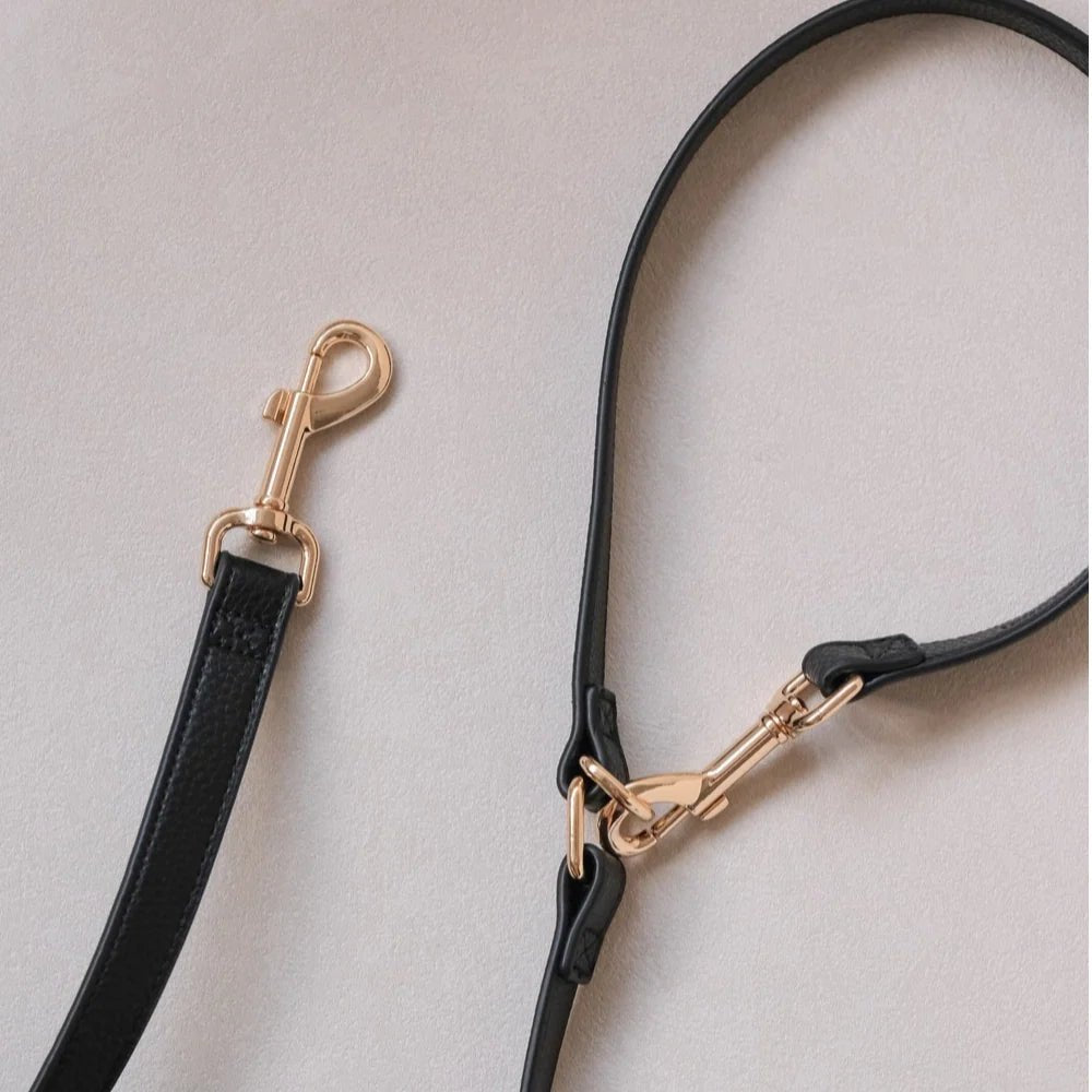 Crossbody Leash Convertible Hands-Free Leash (Black) - Woof Living