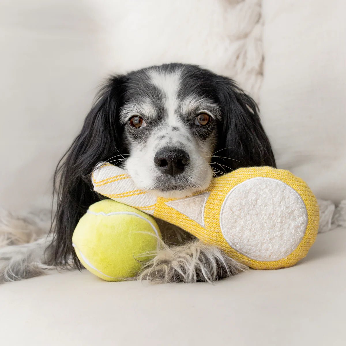 Doggie Tennis Pop - Woof Living