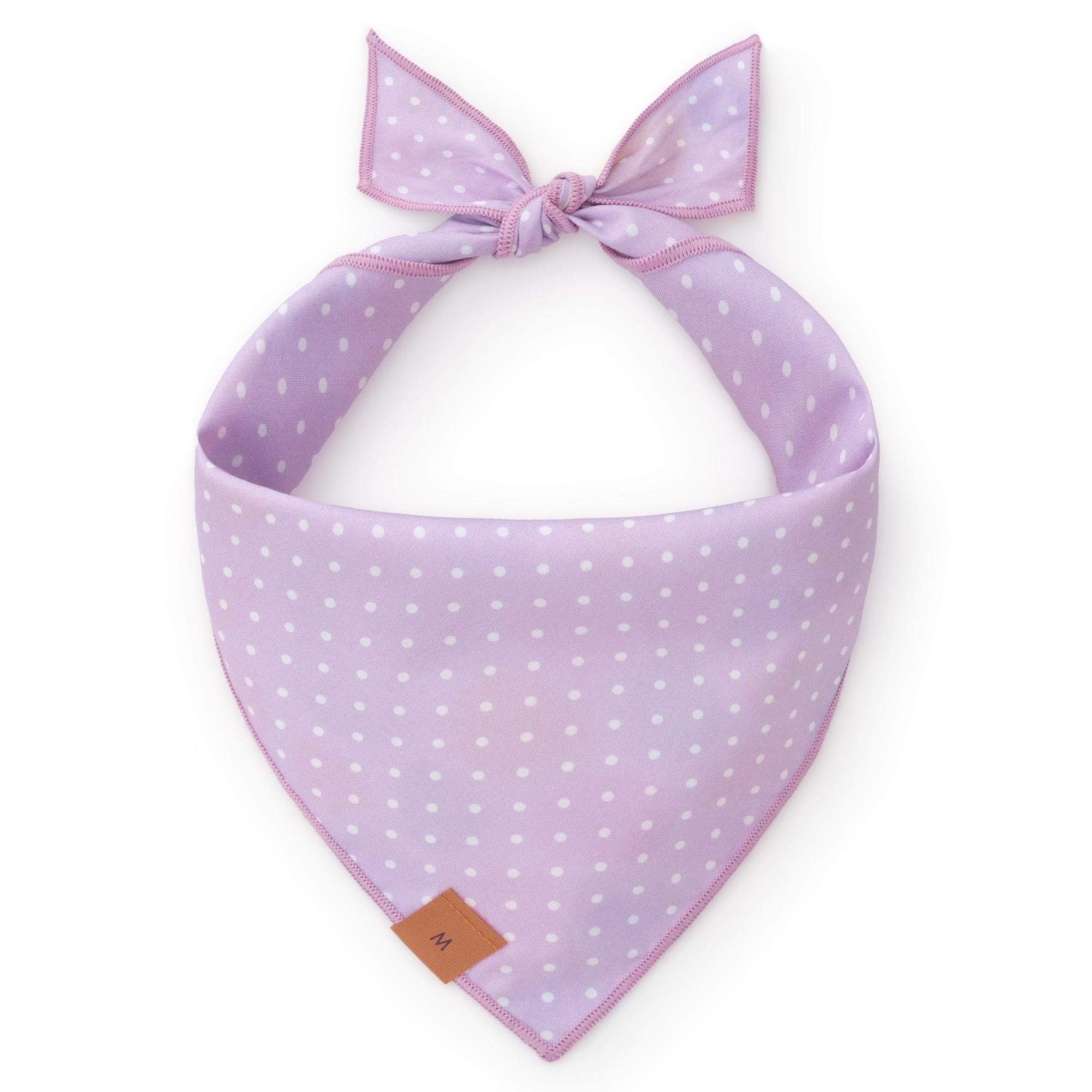 Easter Eggs Reversible Bandana - Woof Living