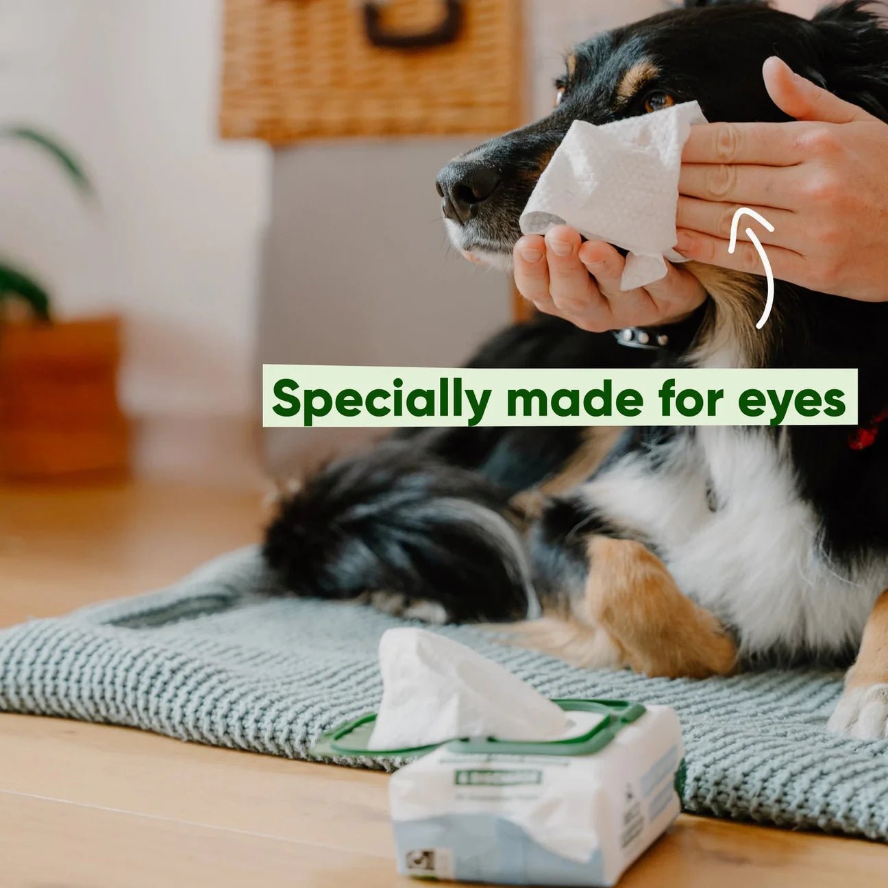 Eye Cleaning Bamboo Wipes - Woof Living
