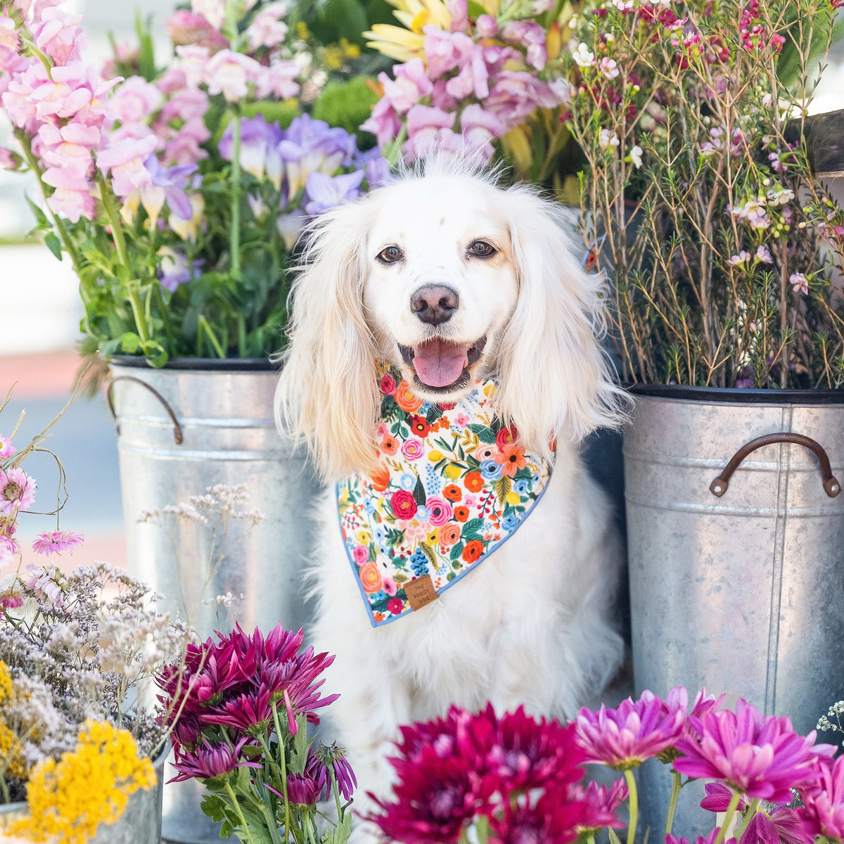 Garden Party Dog Bandana - Woof Living