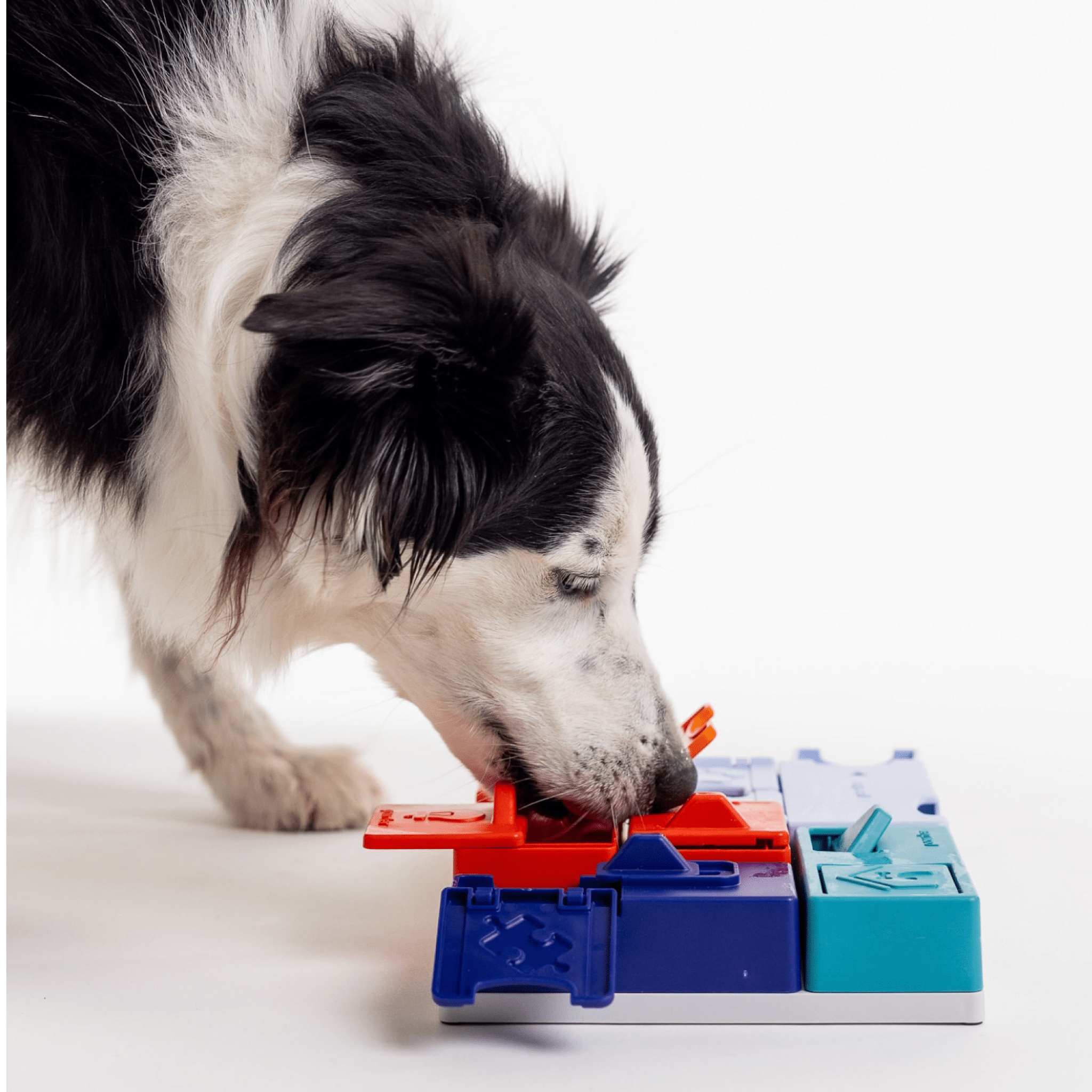 Genius Set - Woof Living