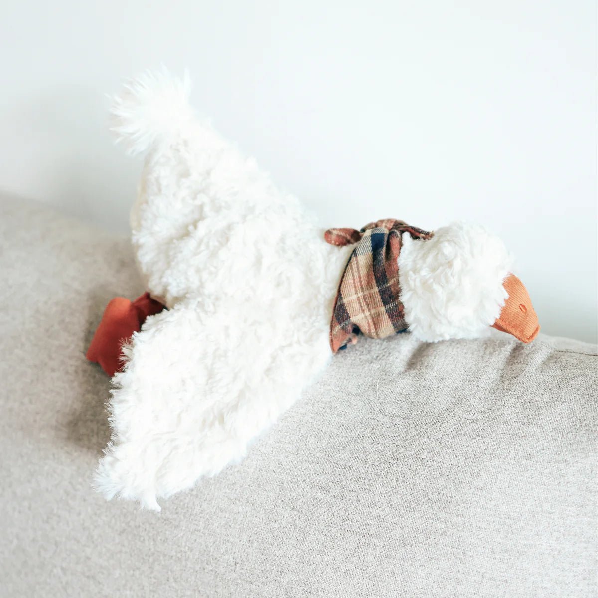 Gus - Woof Living