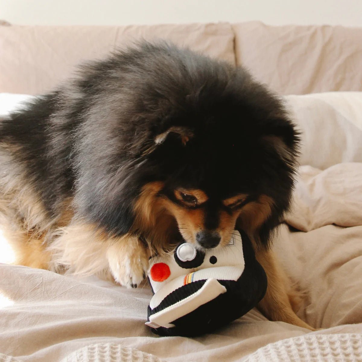 Instant Camera - Woof Living