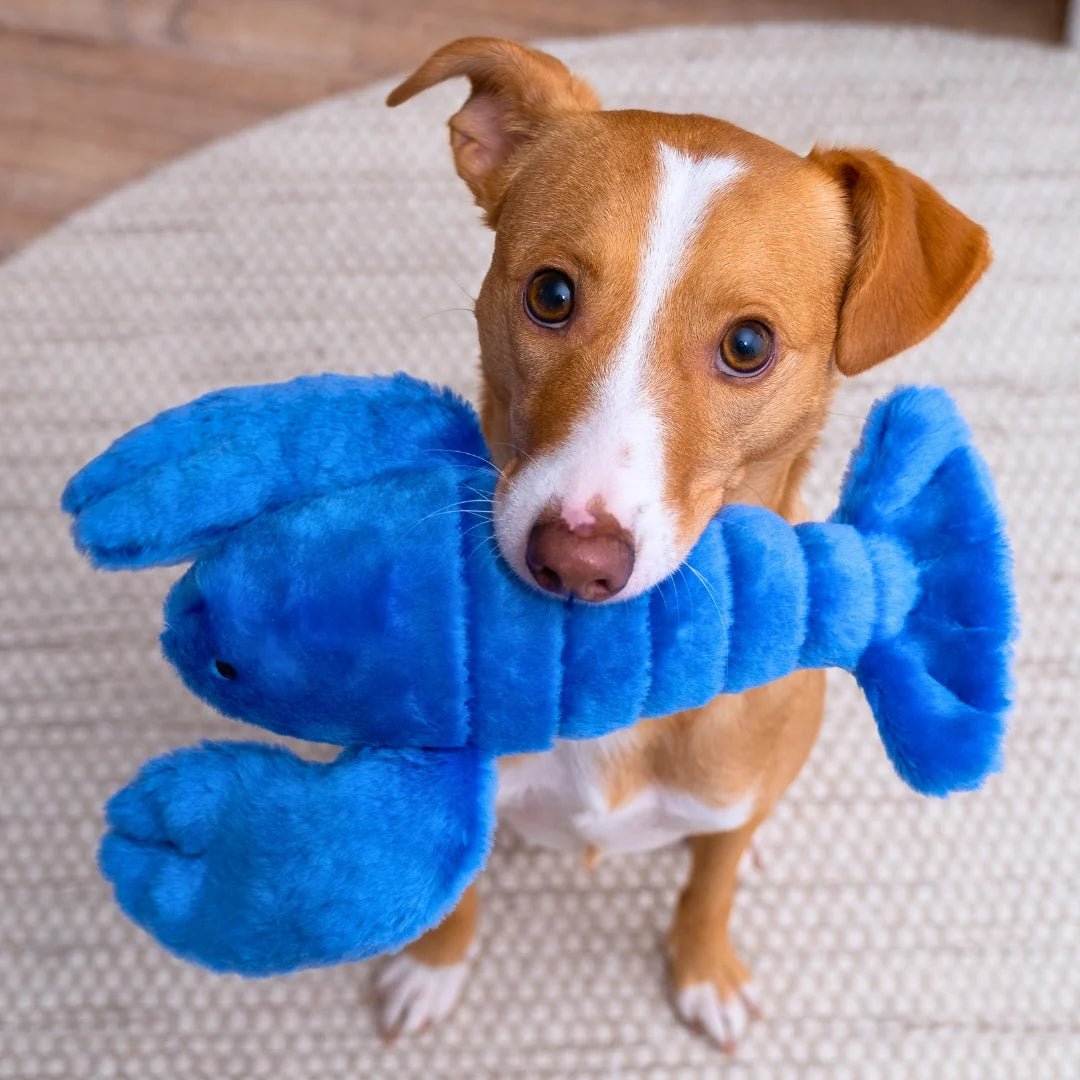 Lucky Lobster - Woof Living