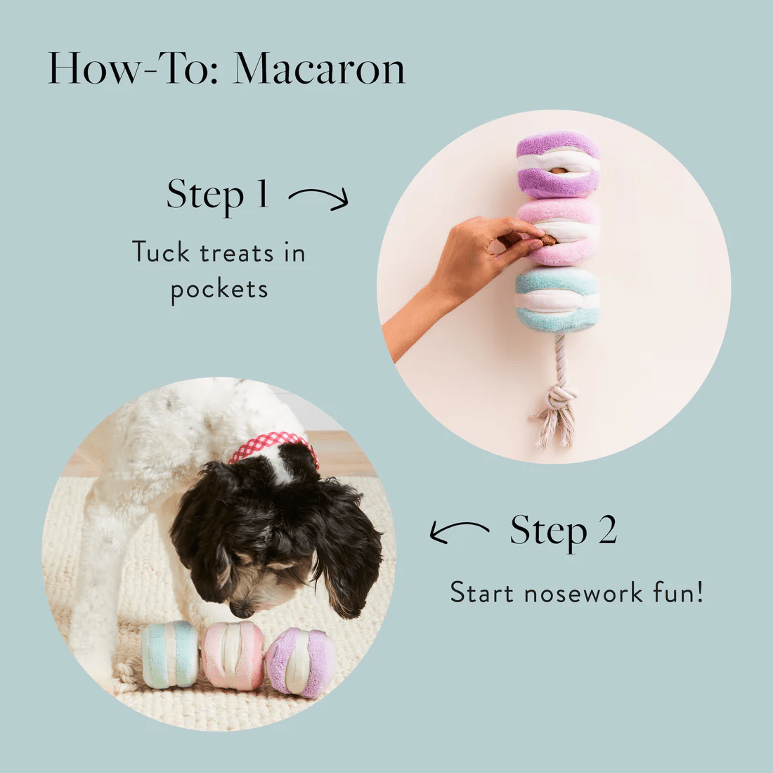 Macarons Interactive Snuffle Toy - Woof Living