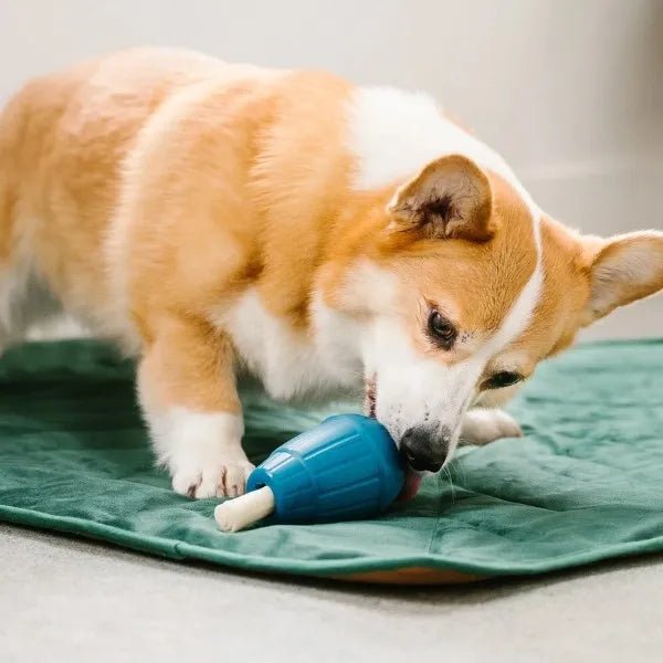 OBEE! Stuff - Woof Living