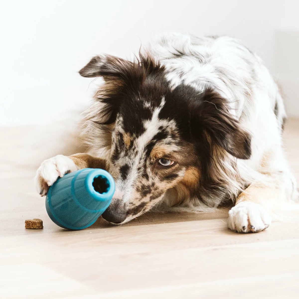 OBEE! Stuff - Woof Living