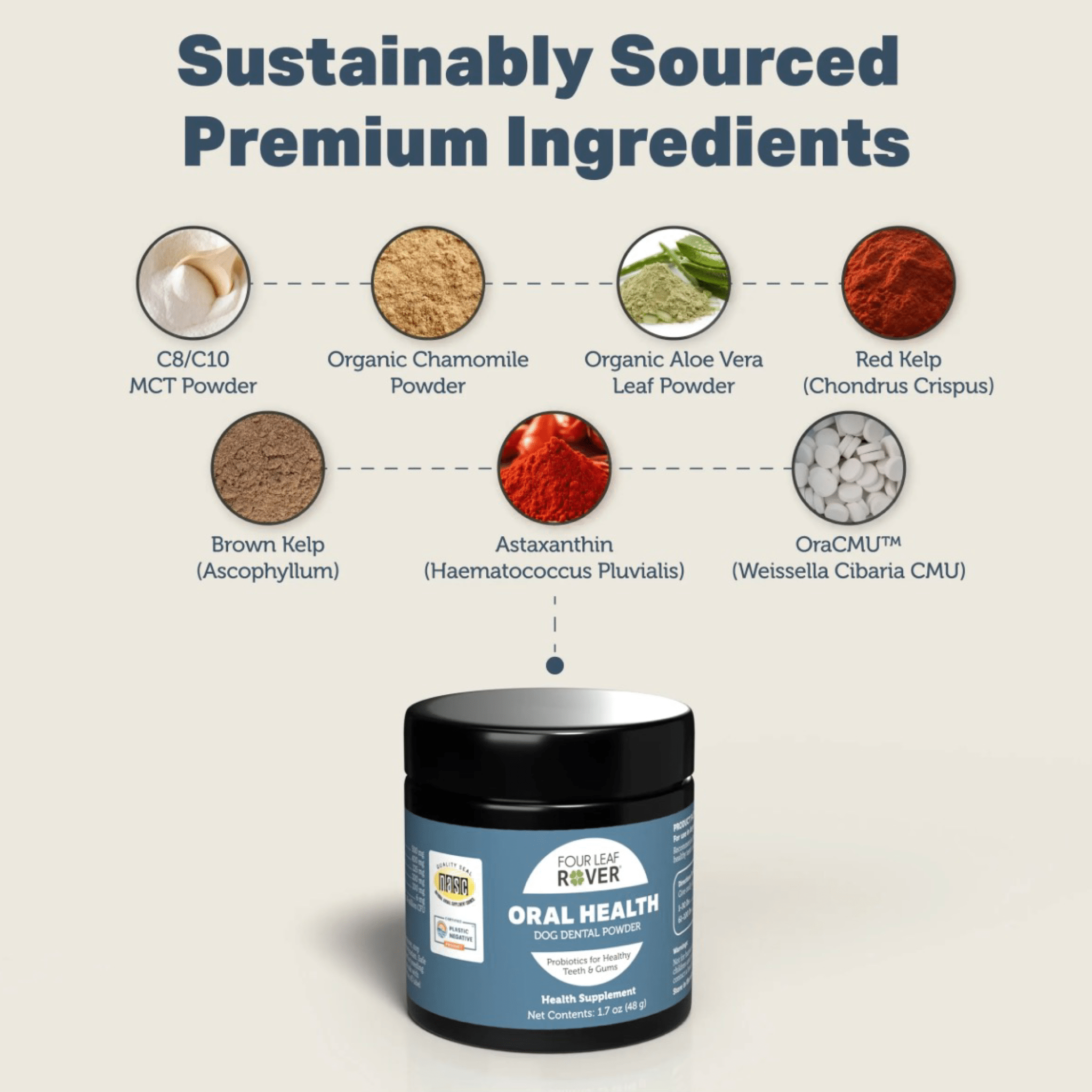 Oral Health - Woof Living