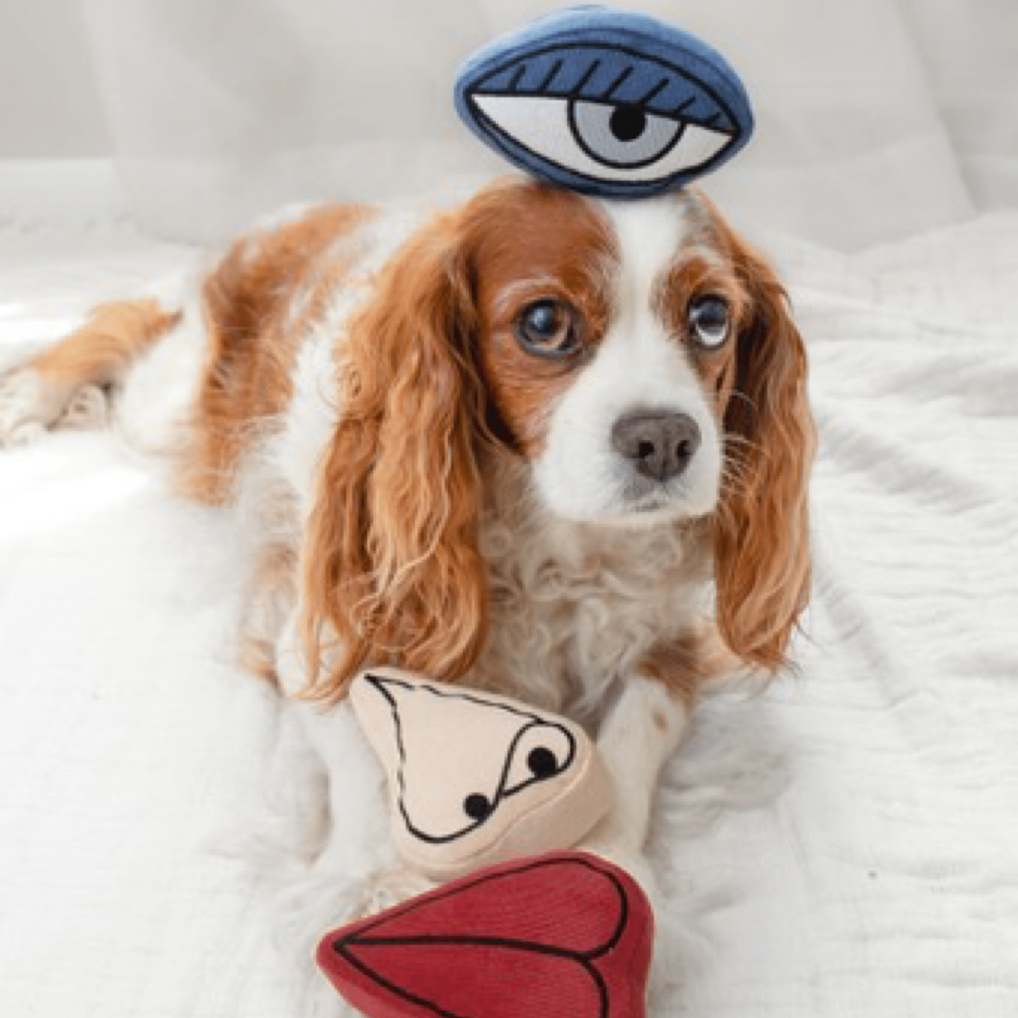 Picasso - Woof Living