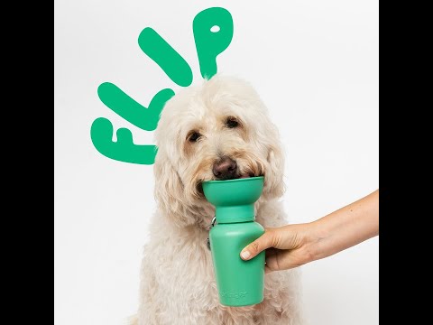 Flip Bottle
