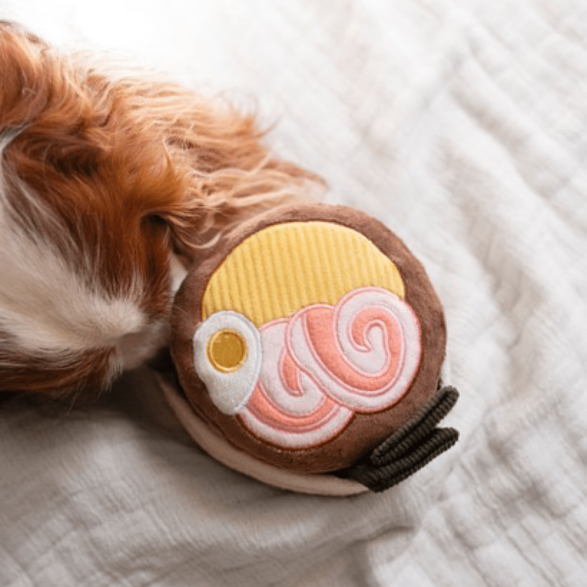 Ramen - Woof Living