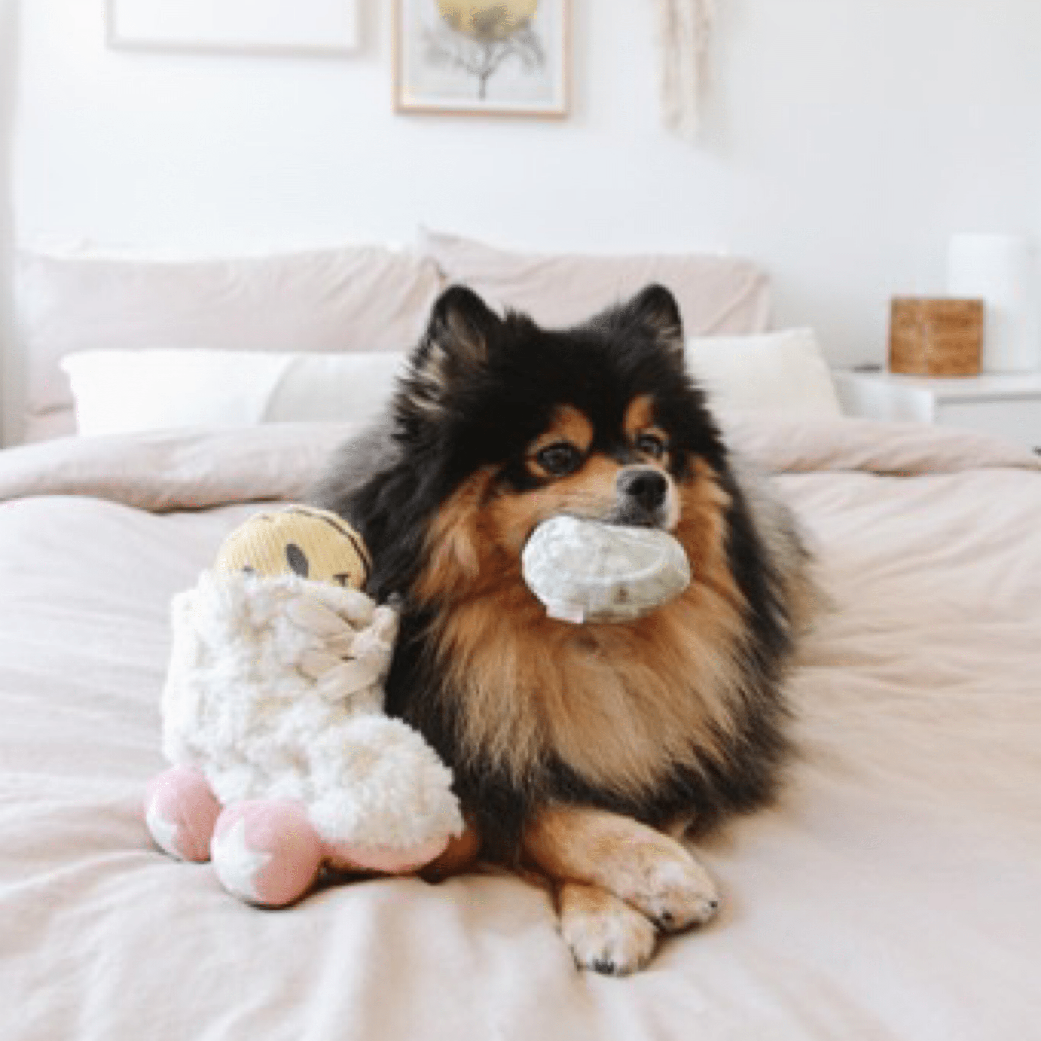 Rollerskate - Woof Living
