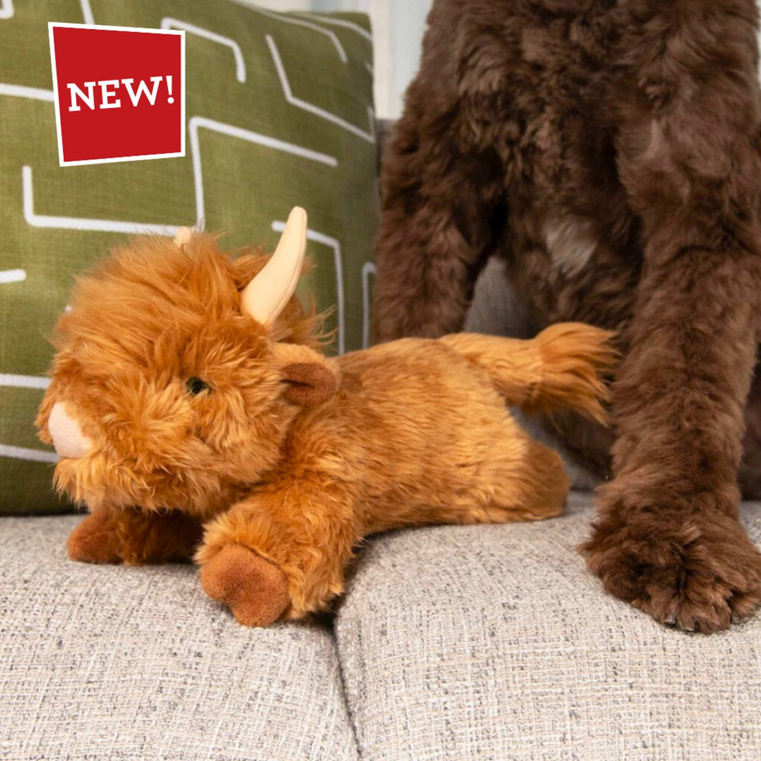 Shaggy Highland Cow (Coming soon!) - Woof Living