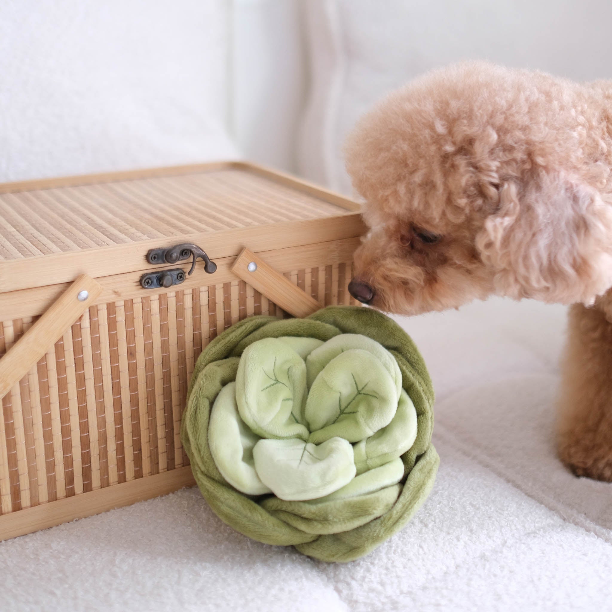 Snuffle Cabbage Nosework Toy - Woof Living