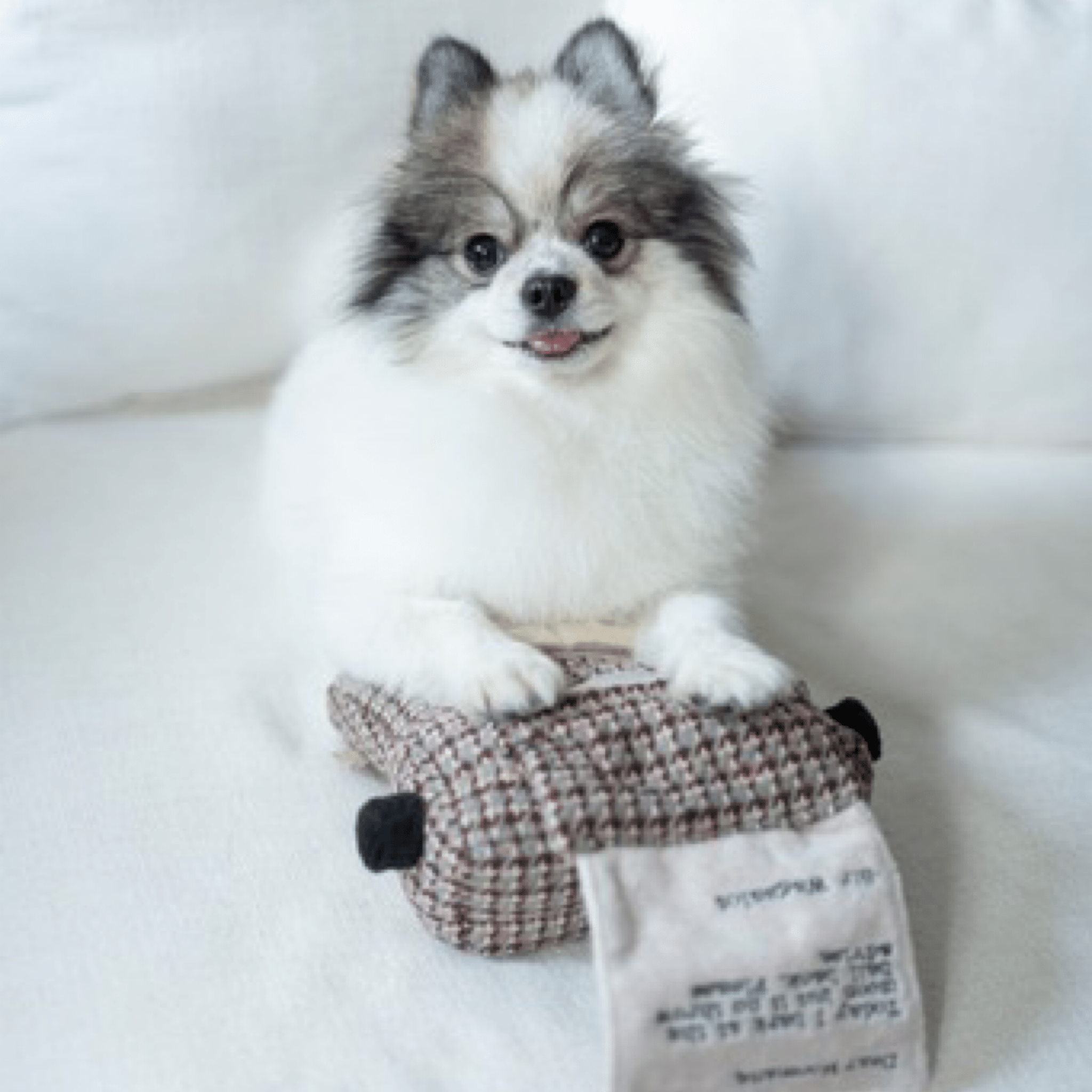 Typewriter - Woof Living