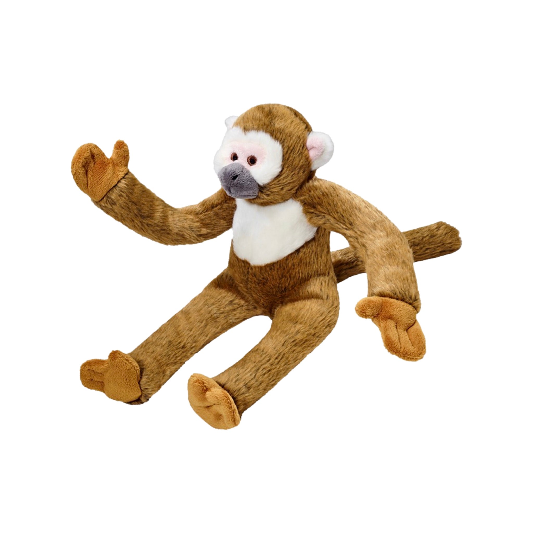 Albert The Monkey