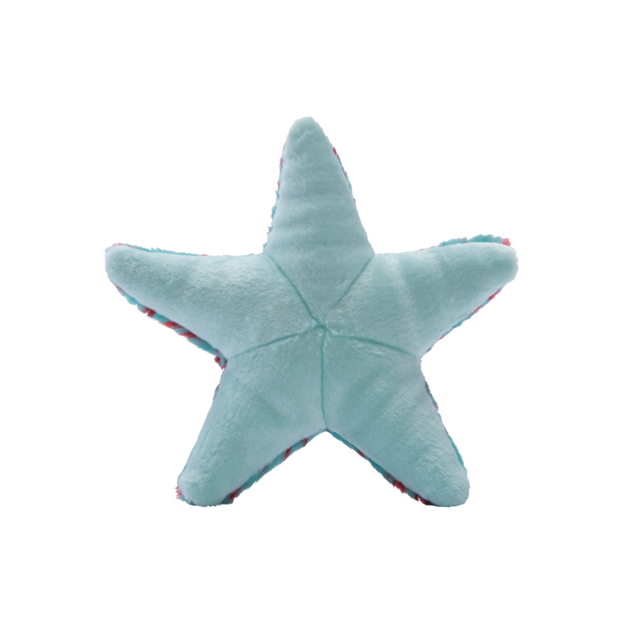 Ally The Starfish