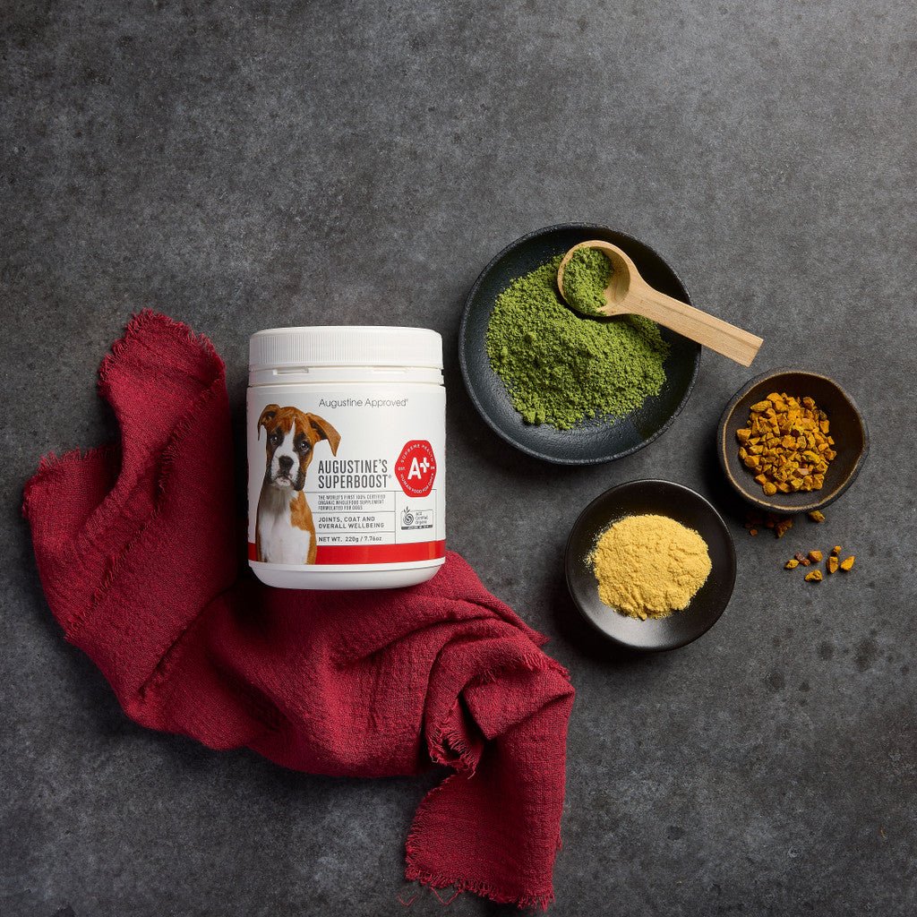 Augustine’s SuperBoost - Woof Living