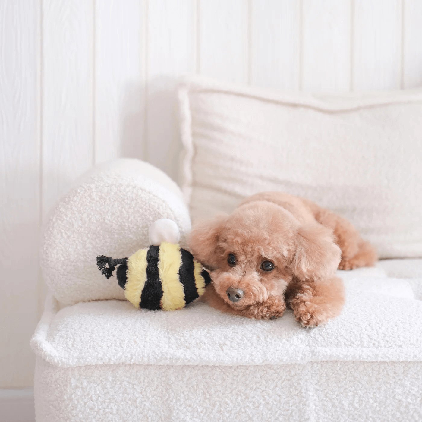 Bee Pop - Woof Living