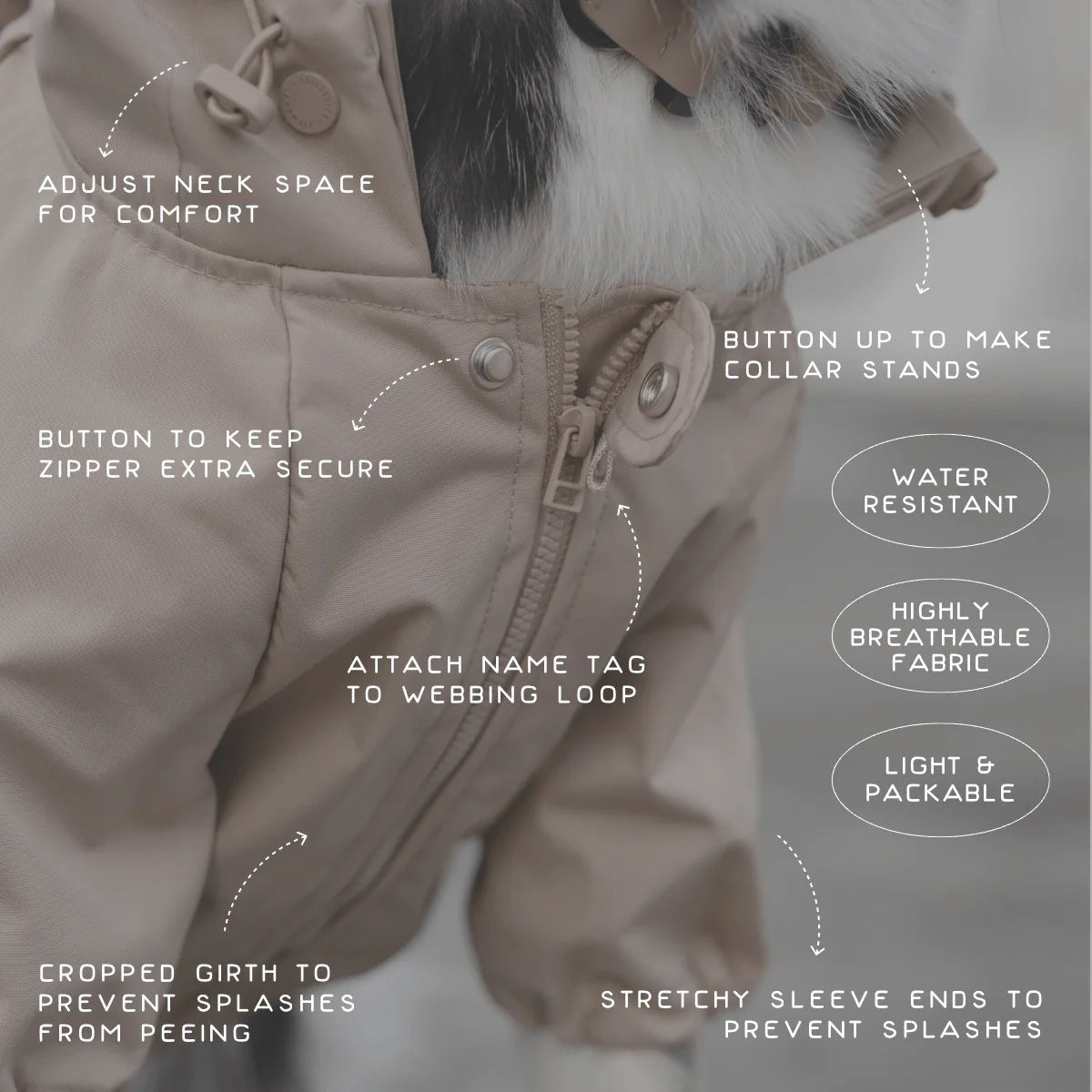 Brooklyn - Woof Living