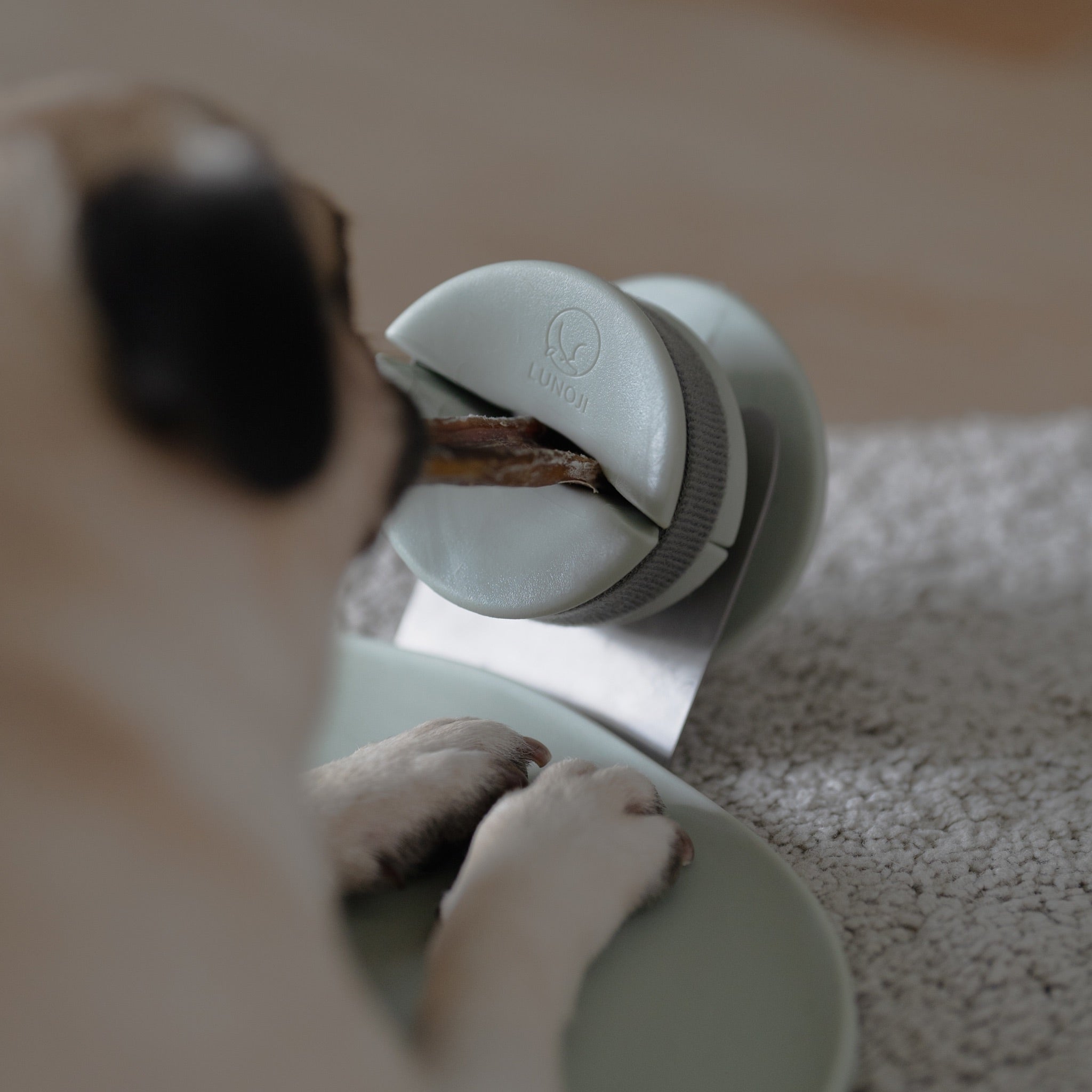 Chewden Grip Set - Woof Living