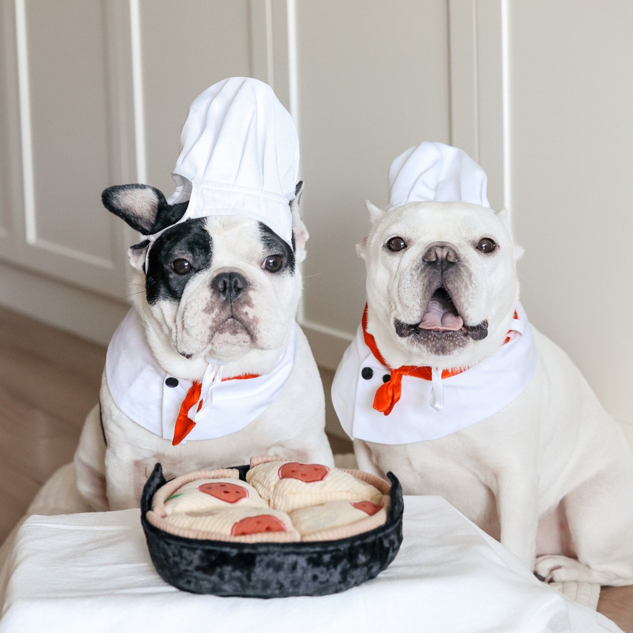 Deep Dish Pizza - Woof Living