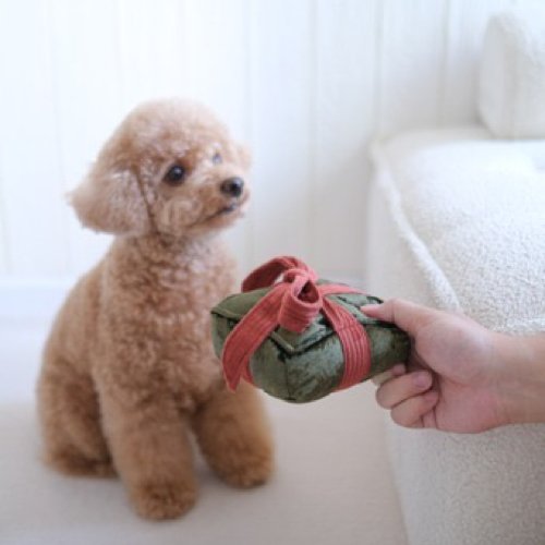 Gift Box - Woof Living