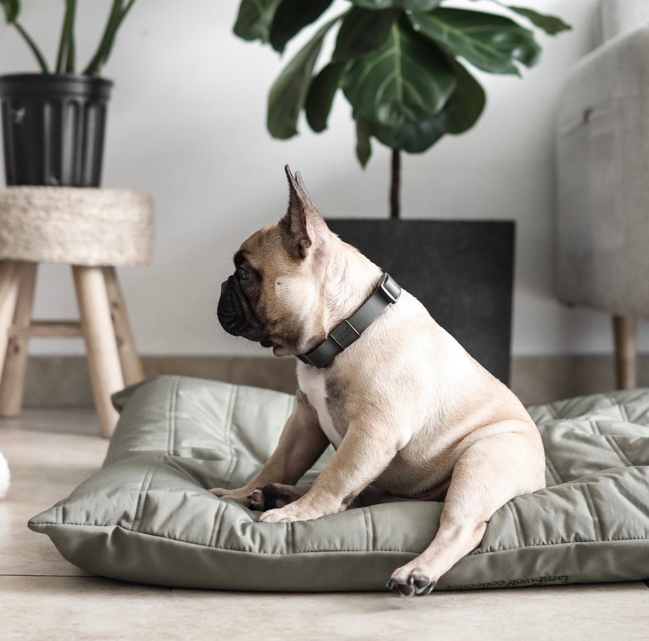 Maatin Bed - Woof Living