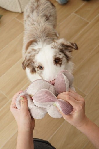 Monti (Small) - Woof Living