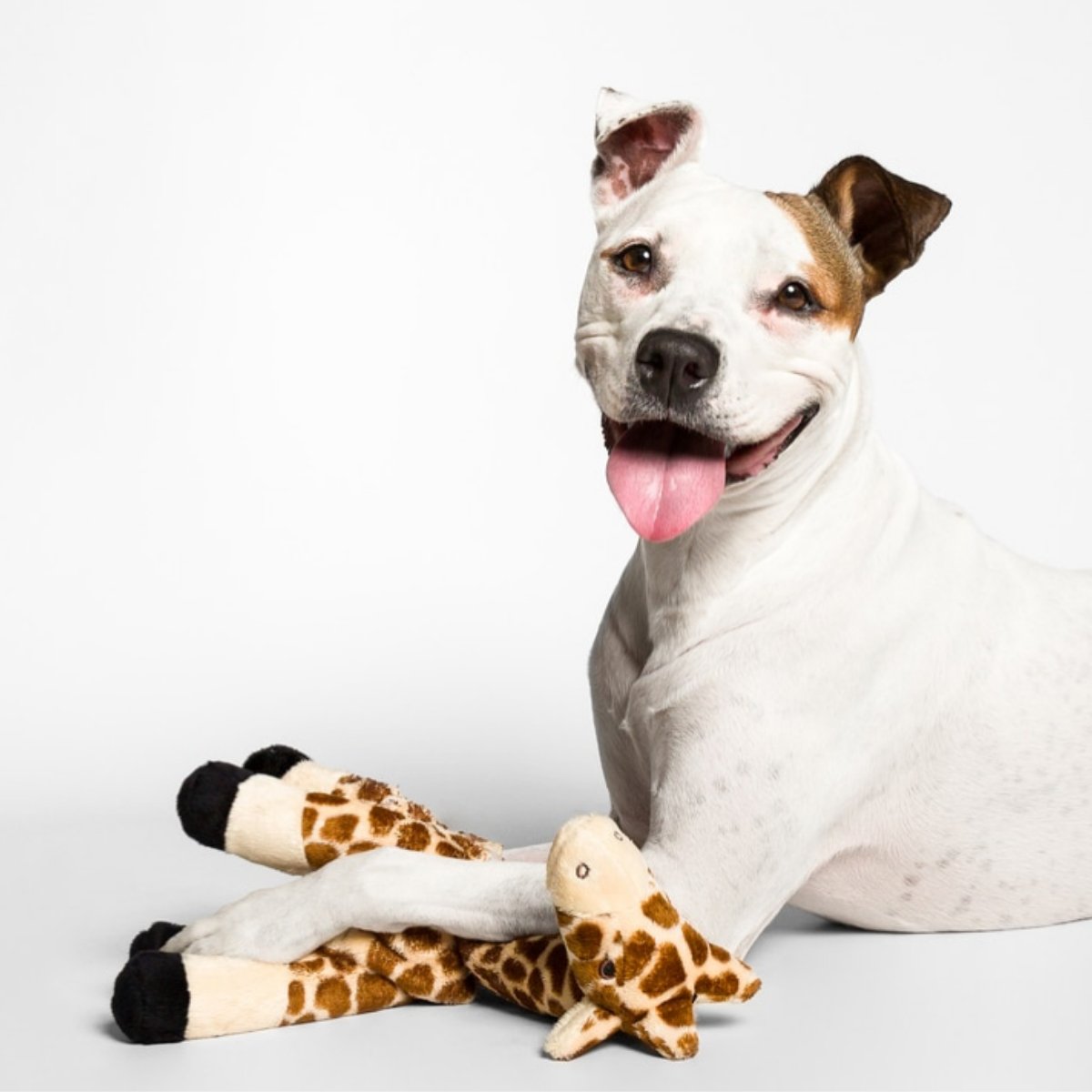 Nelly The Giraffe - Woof Living