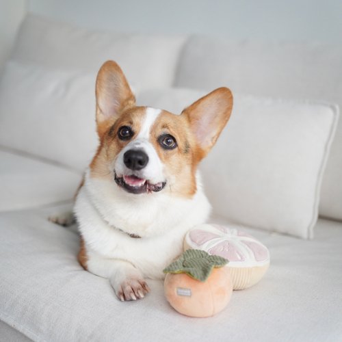 Squeaky Persimmon Toy - Woof Living