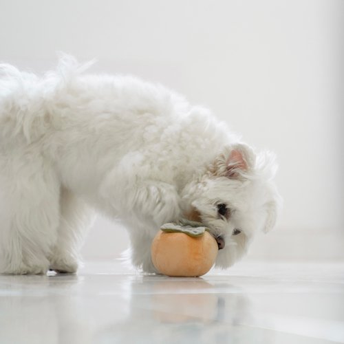 Squeaky Persimmon Toy - Woof Living