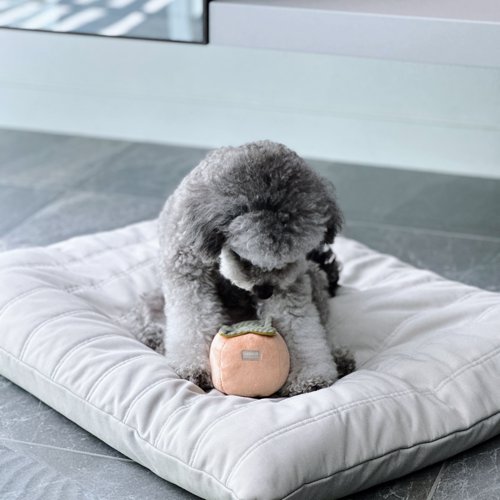 Squeaky Persimmon Toy - Woof Living