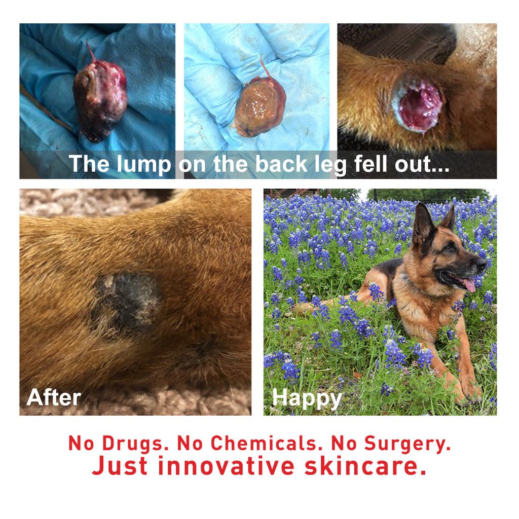 SuperHeal - Woof Living