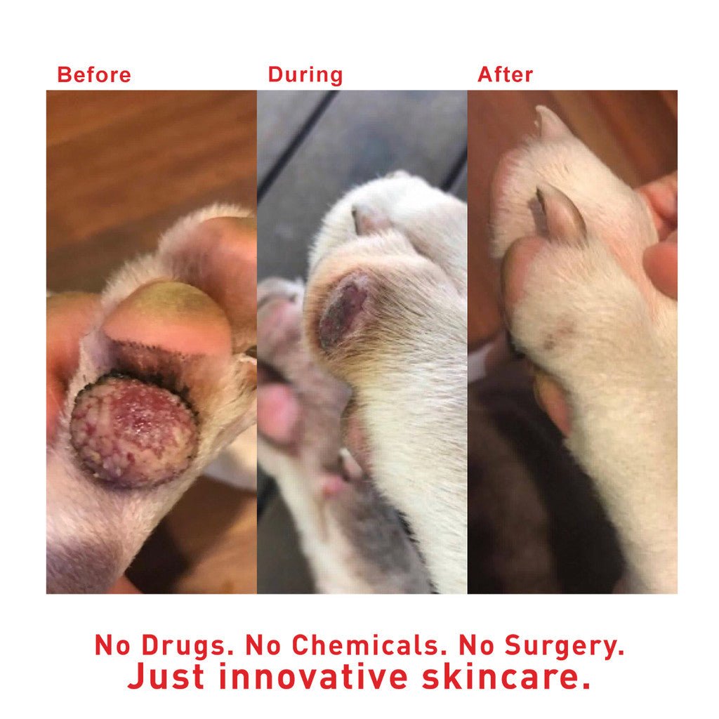 SuperHeal - Woof Living