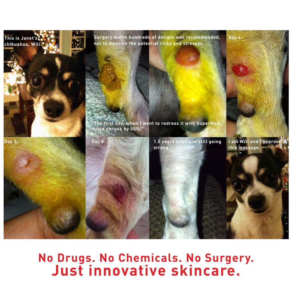 SuperHeal - Woof Living