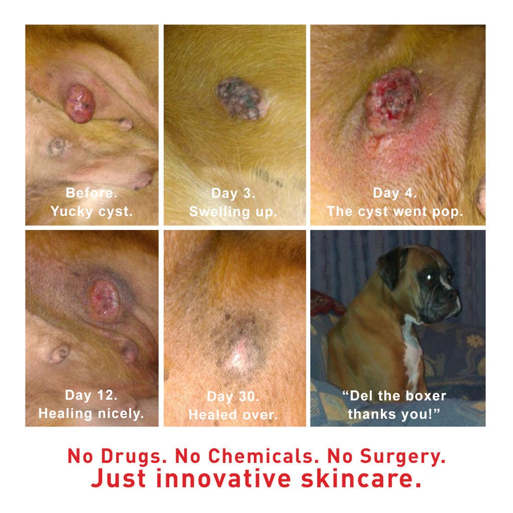 SuperHeal - Woof Living