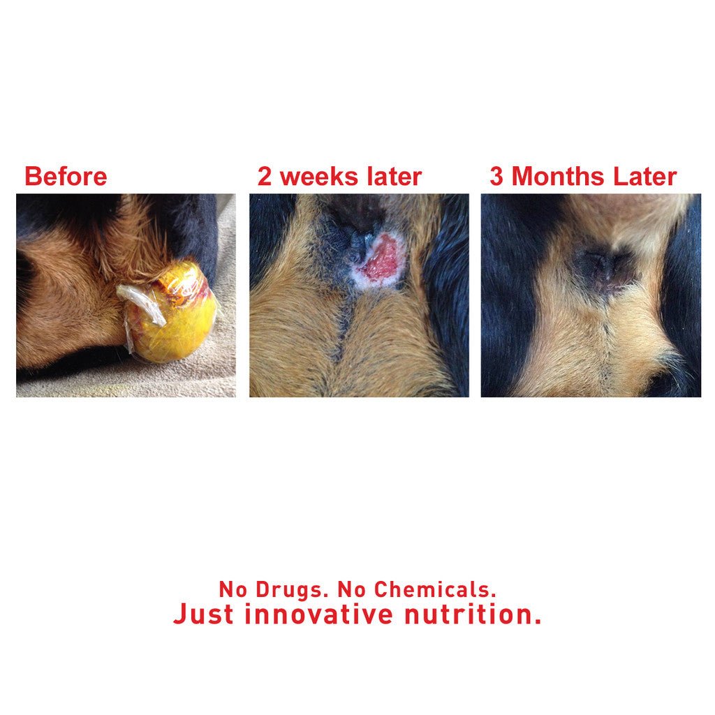 SuperHeal - Woof Living