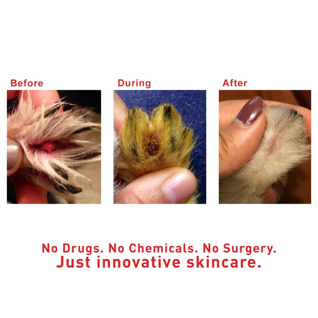 SuperHeal - Woof Living